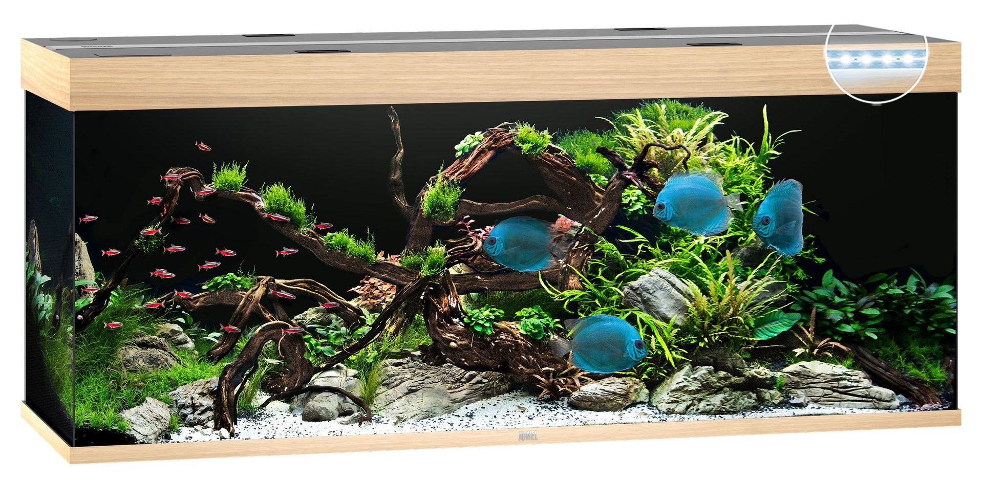 Juwel Aquariums Rio 450 Litre LED light wood (05852)