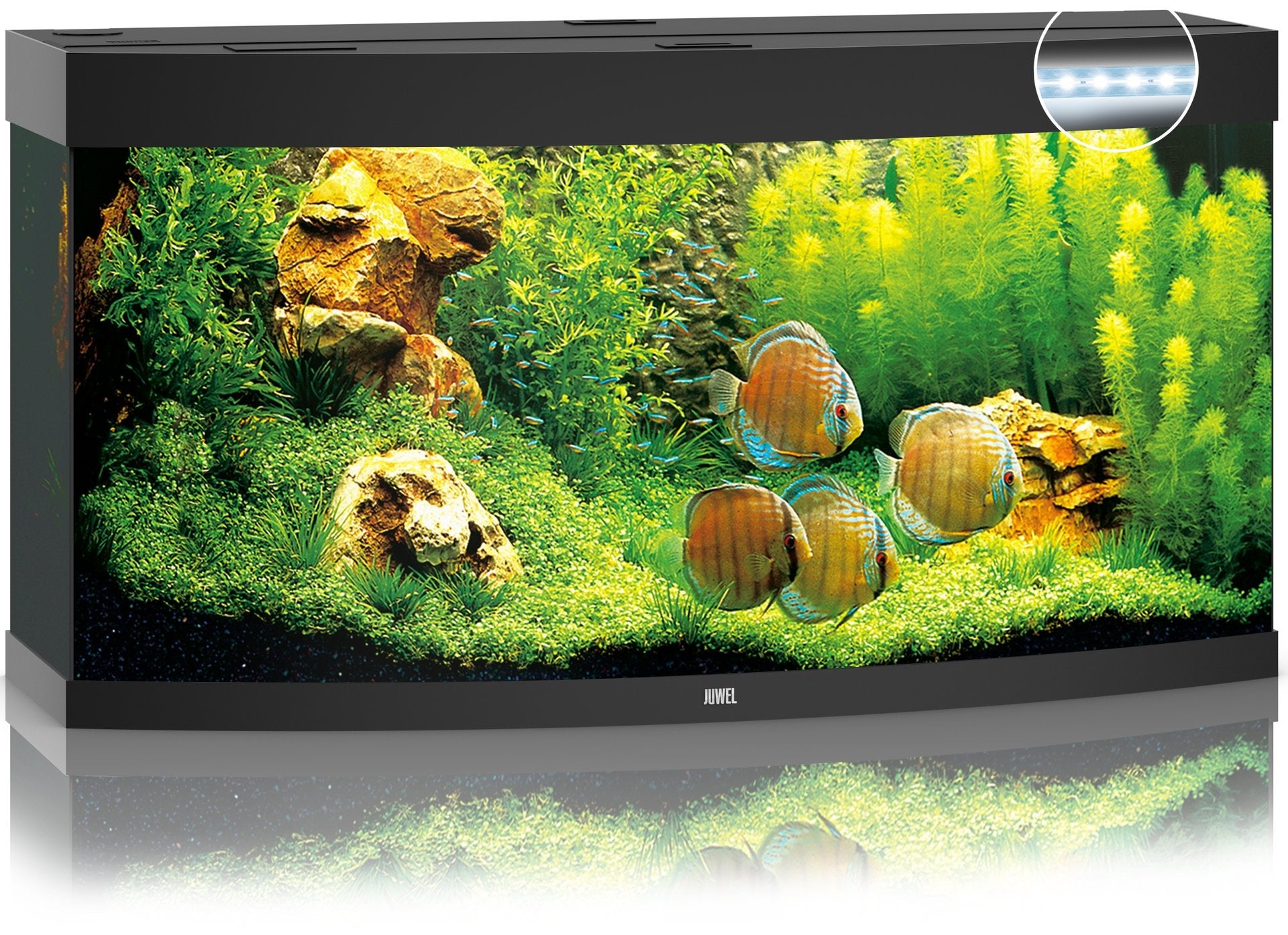 Juwel Aquariums Vision 260 Litre LED black (06352)