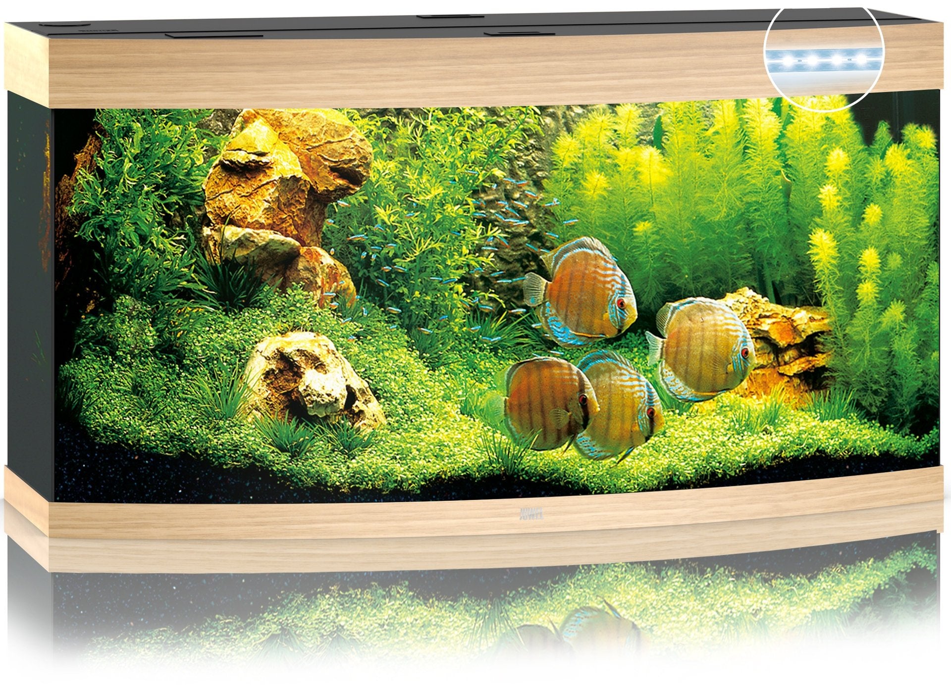 Juwel Aquariums Vision 260 Litre LED light wood (06852)