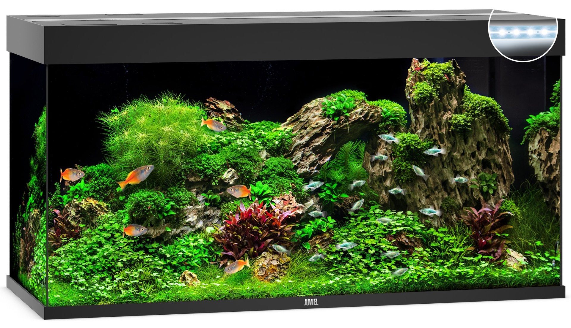 Juwel Aquariums Rio 350 Litre LED black (07352)