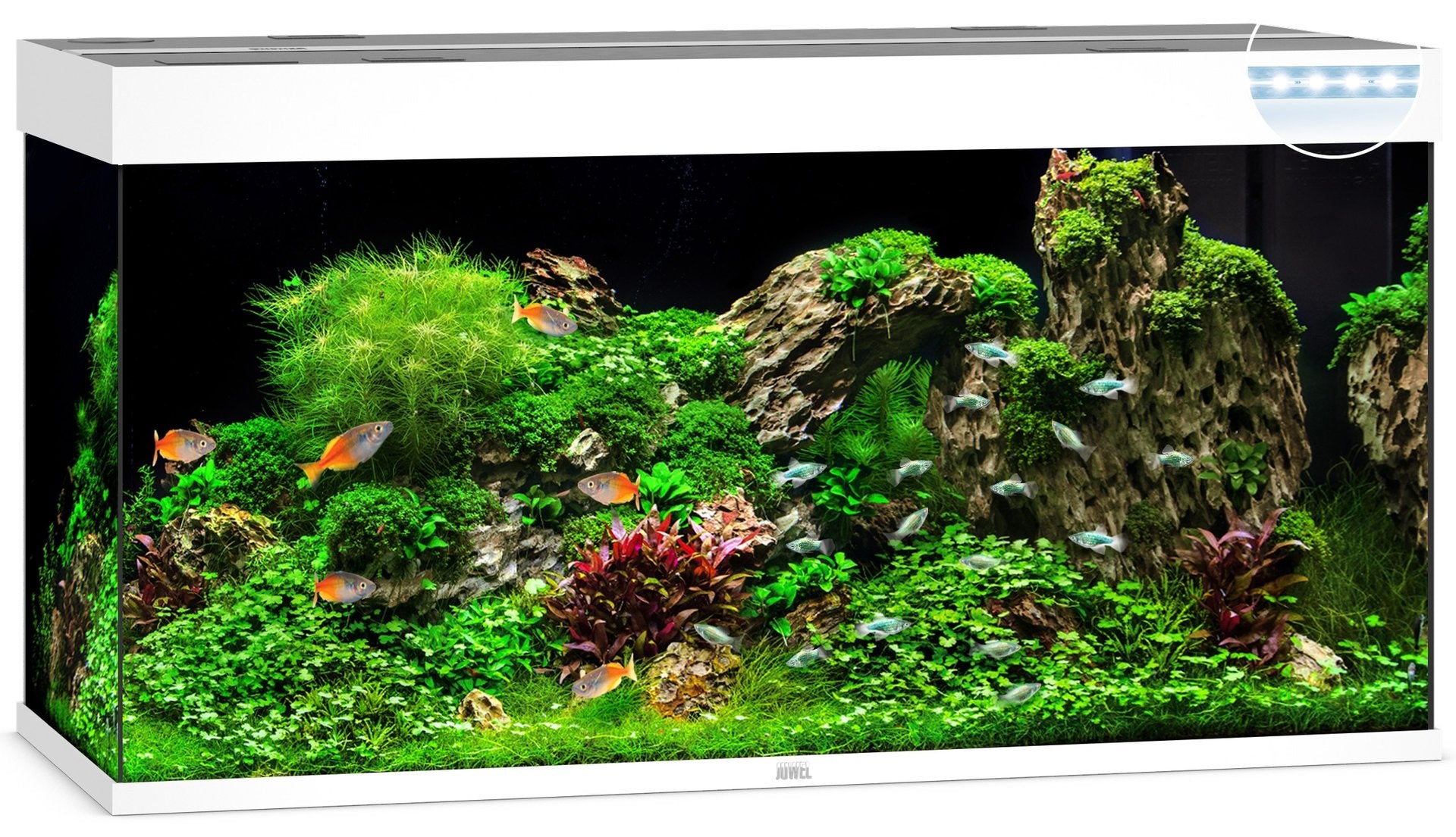 Juwel Aquariums Rio 350 Litre LED white (07452)