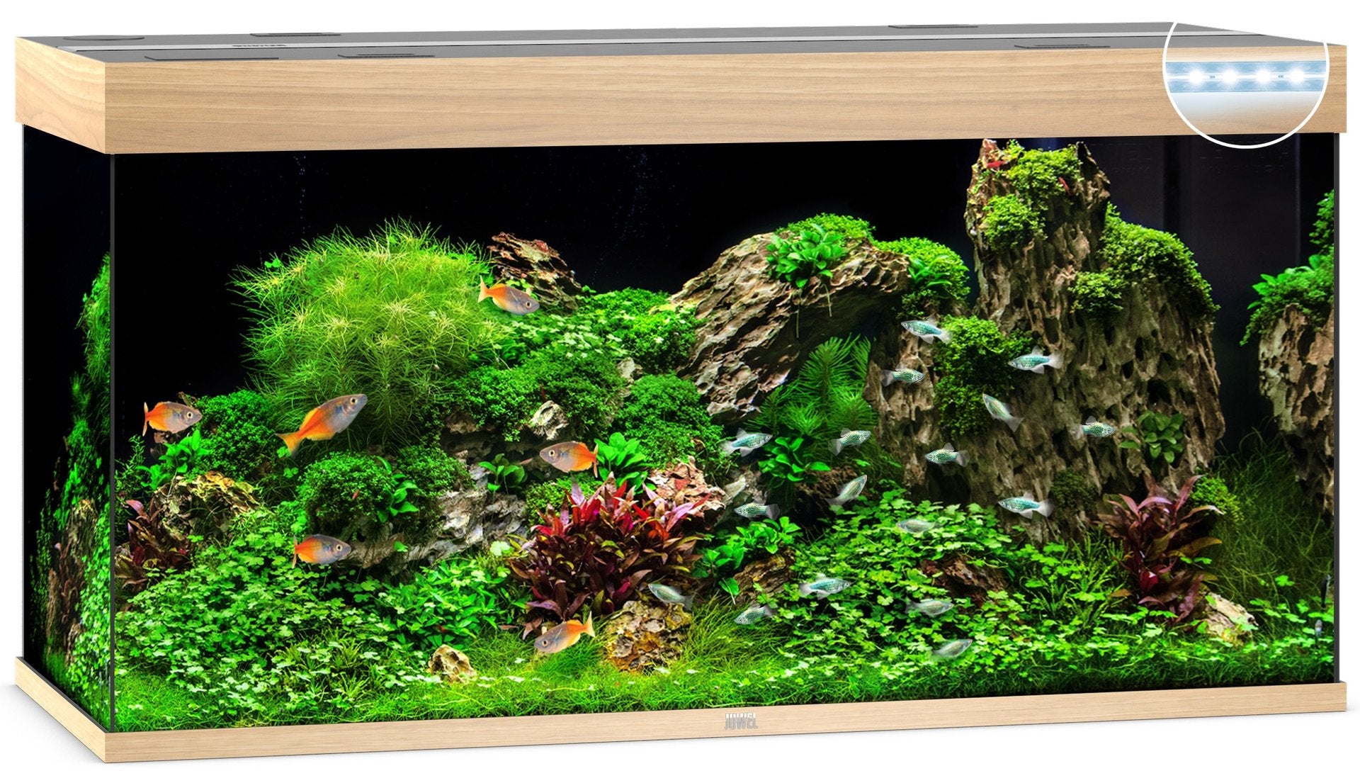 Juwel Aquariums Rio 350 Litre LED light wood (07852)