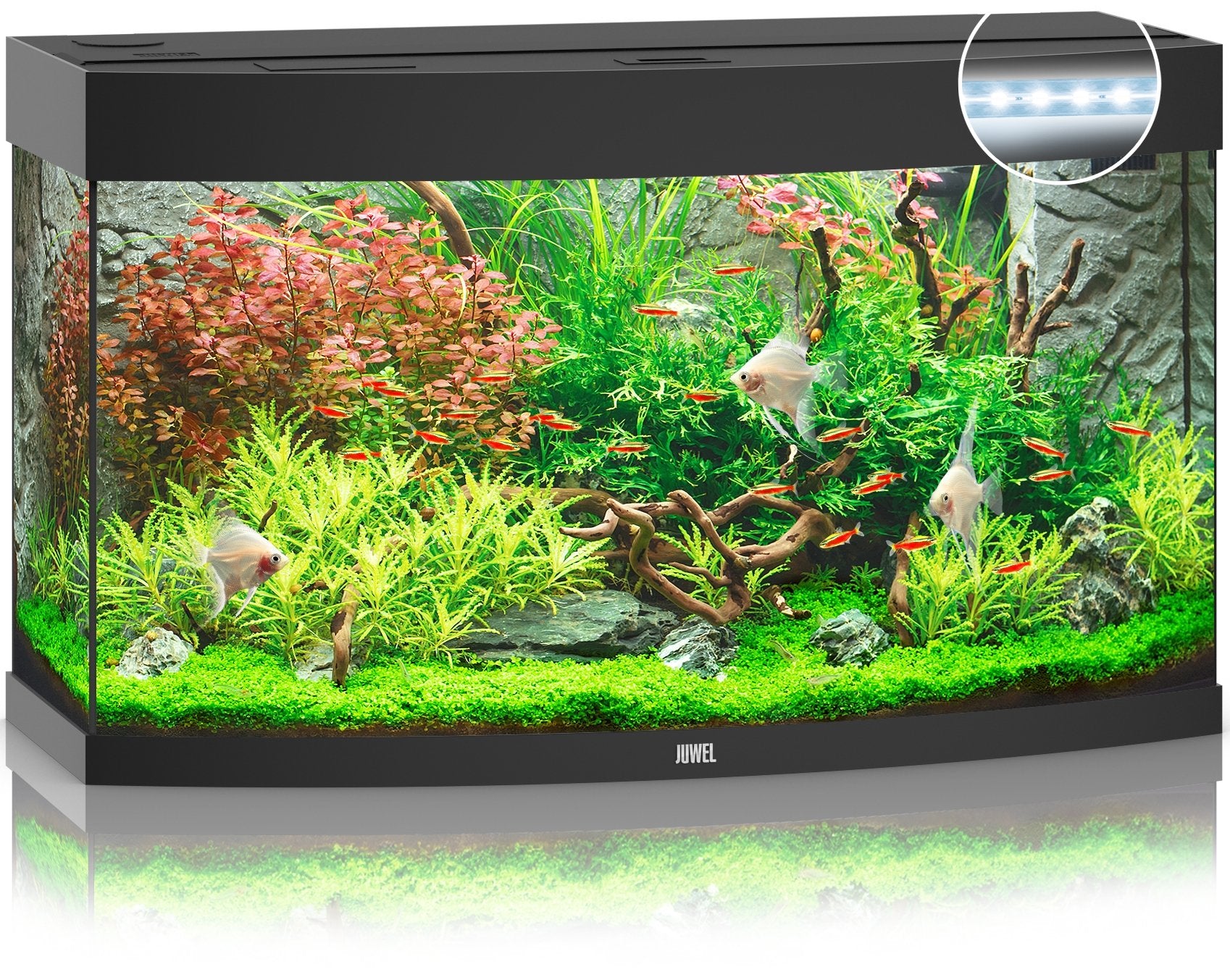 Juwel Aquariums Vision 180 Litre LED black (09352)