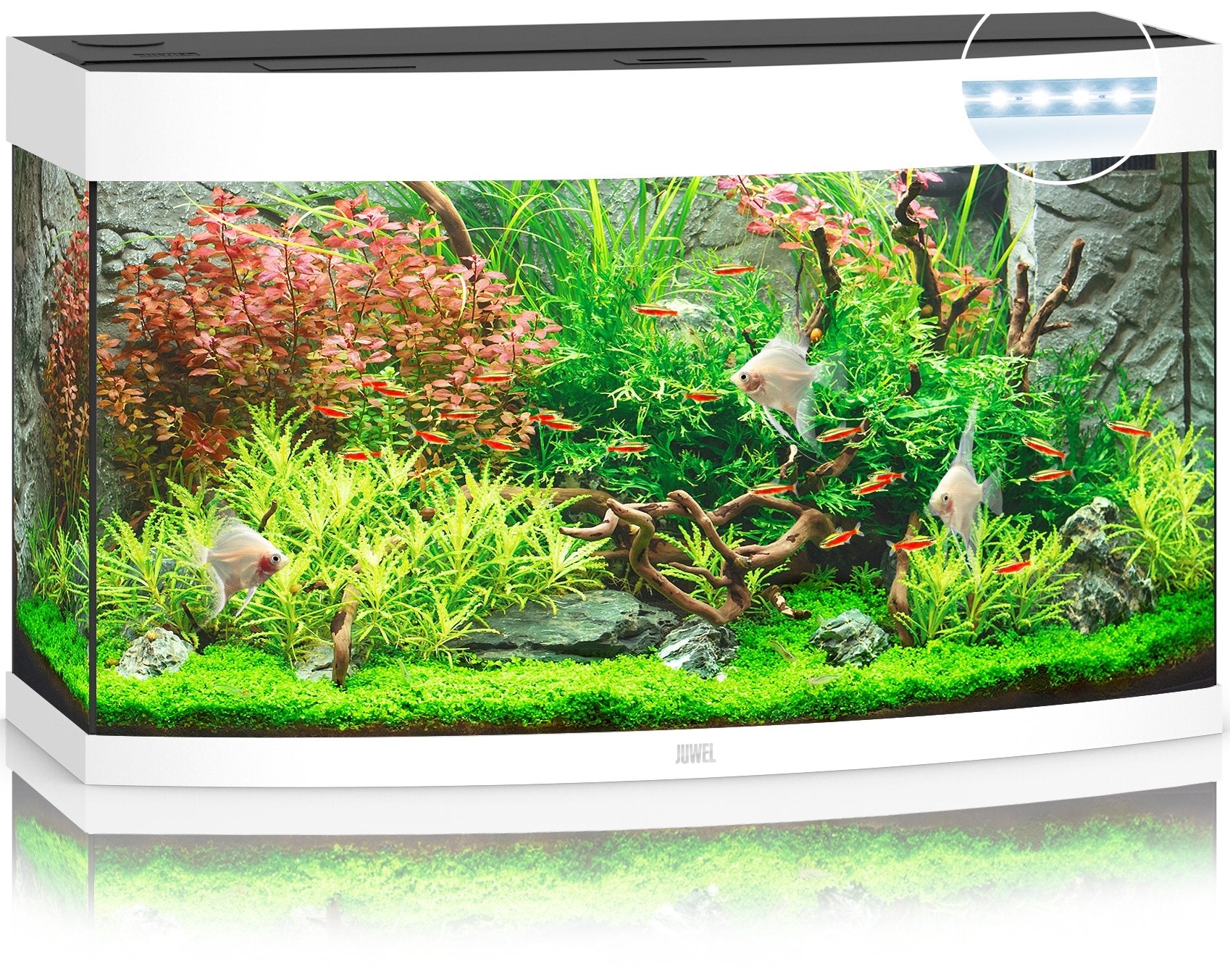 Juwel Aquariums Vision 180 Litre LED white (09452)