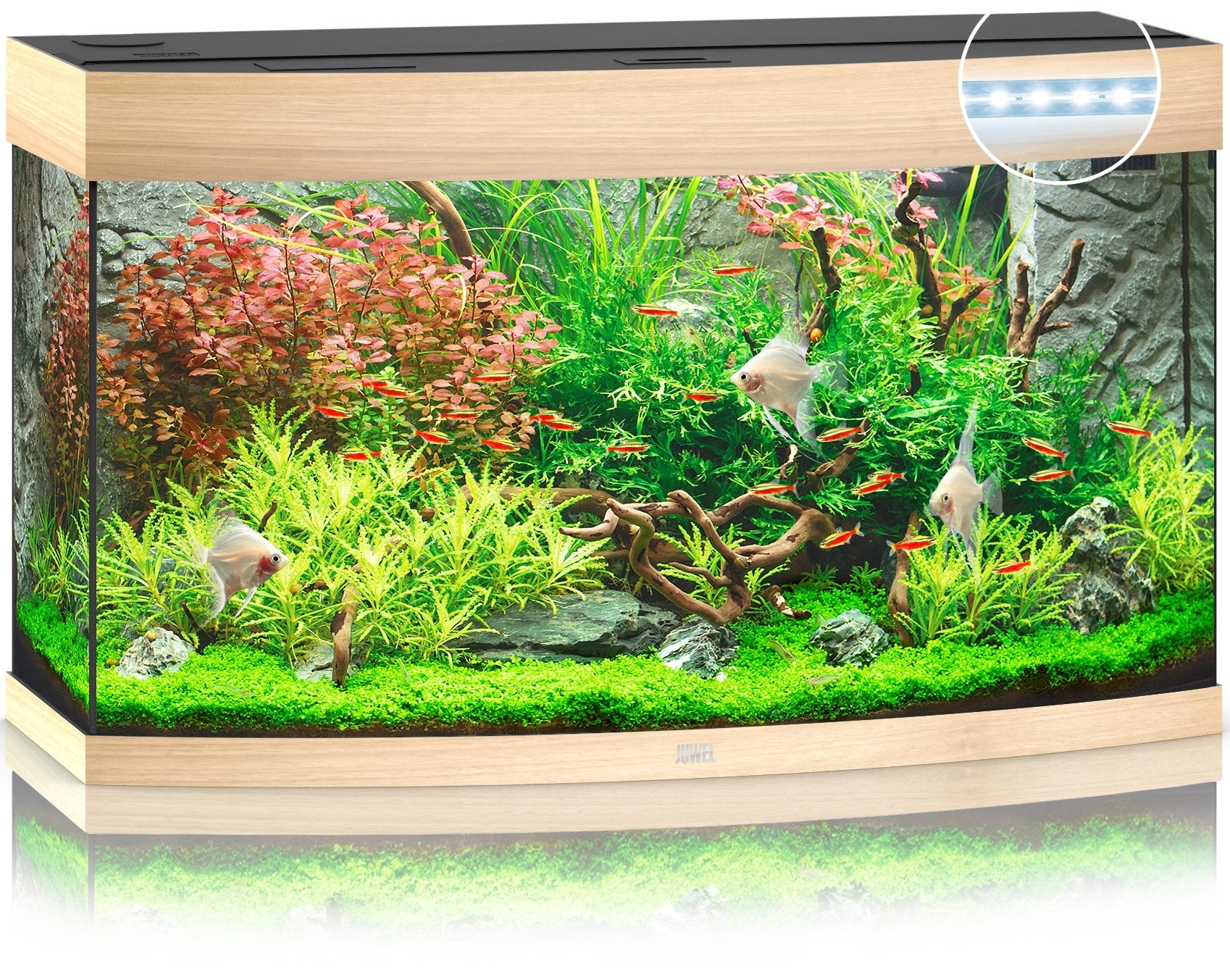 Juwel Aquariums Vision 180 Litre LED light wood (09852)