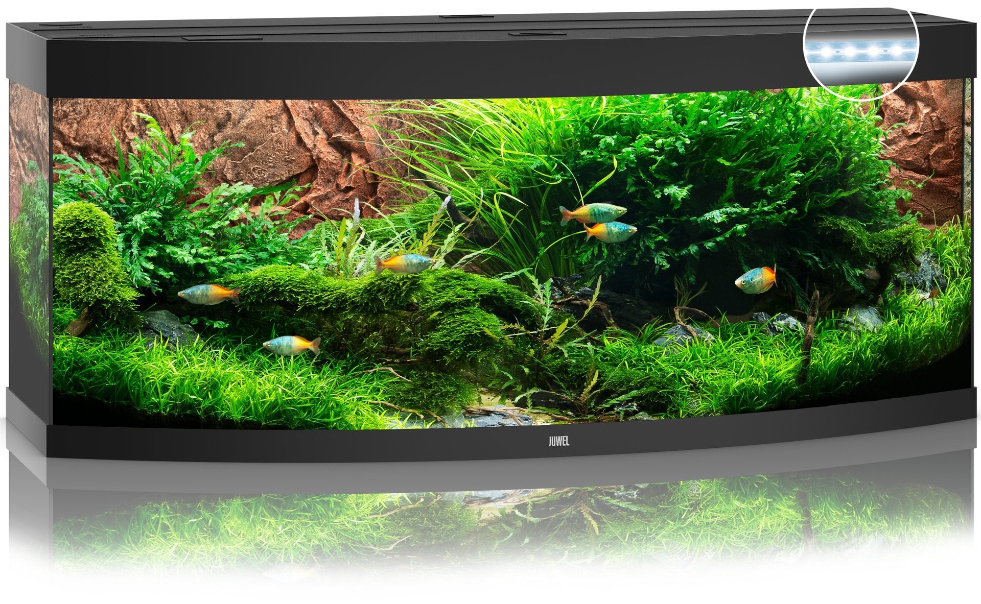 Juwel Aquariums Vision 450 Litre LED black (10362)