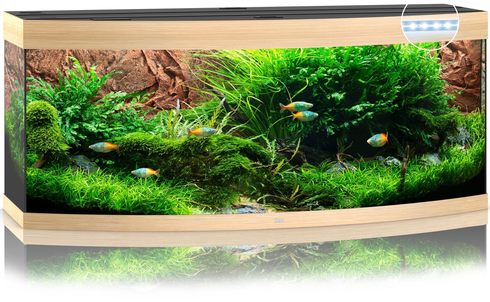 Juwel Aquariums Vision 450 Litre LED light wood (10862)