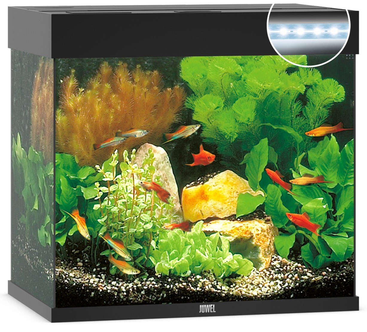 Juwel Aquariums Lido 120 Litre LED black (11352)