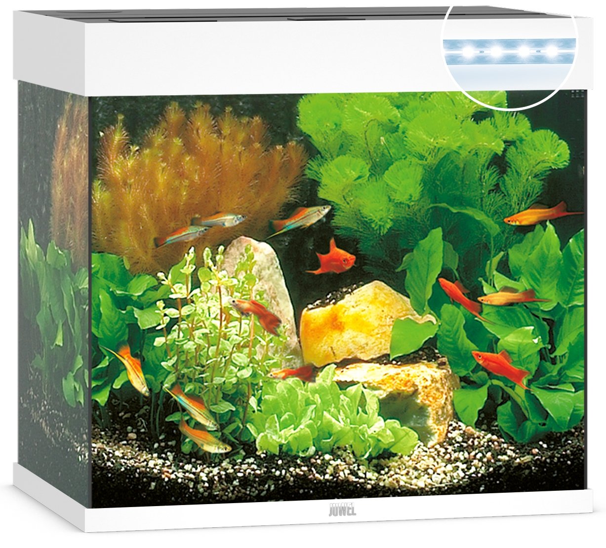 Juwel Aquariums Lido 120 Litre LED white (11452)