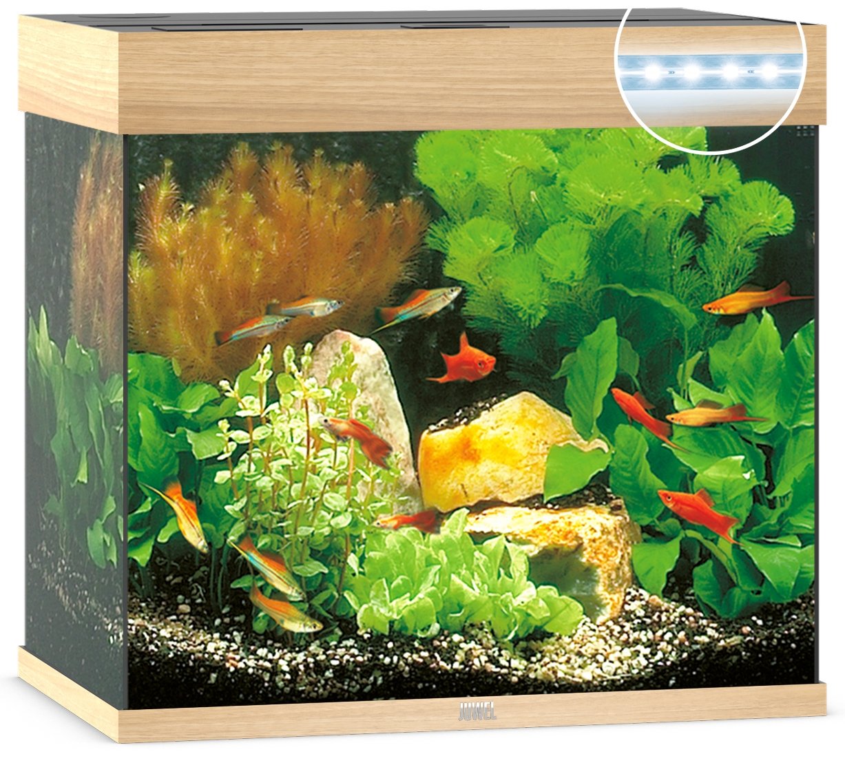 Juwel Aquariums Lido 120 Litre LED light wood (11852)