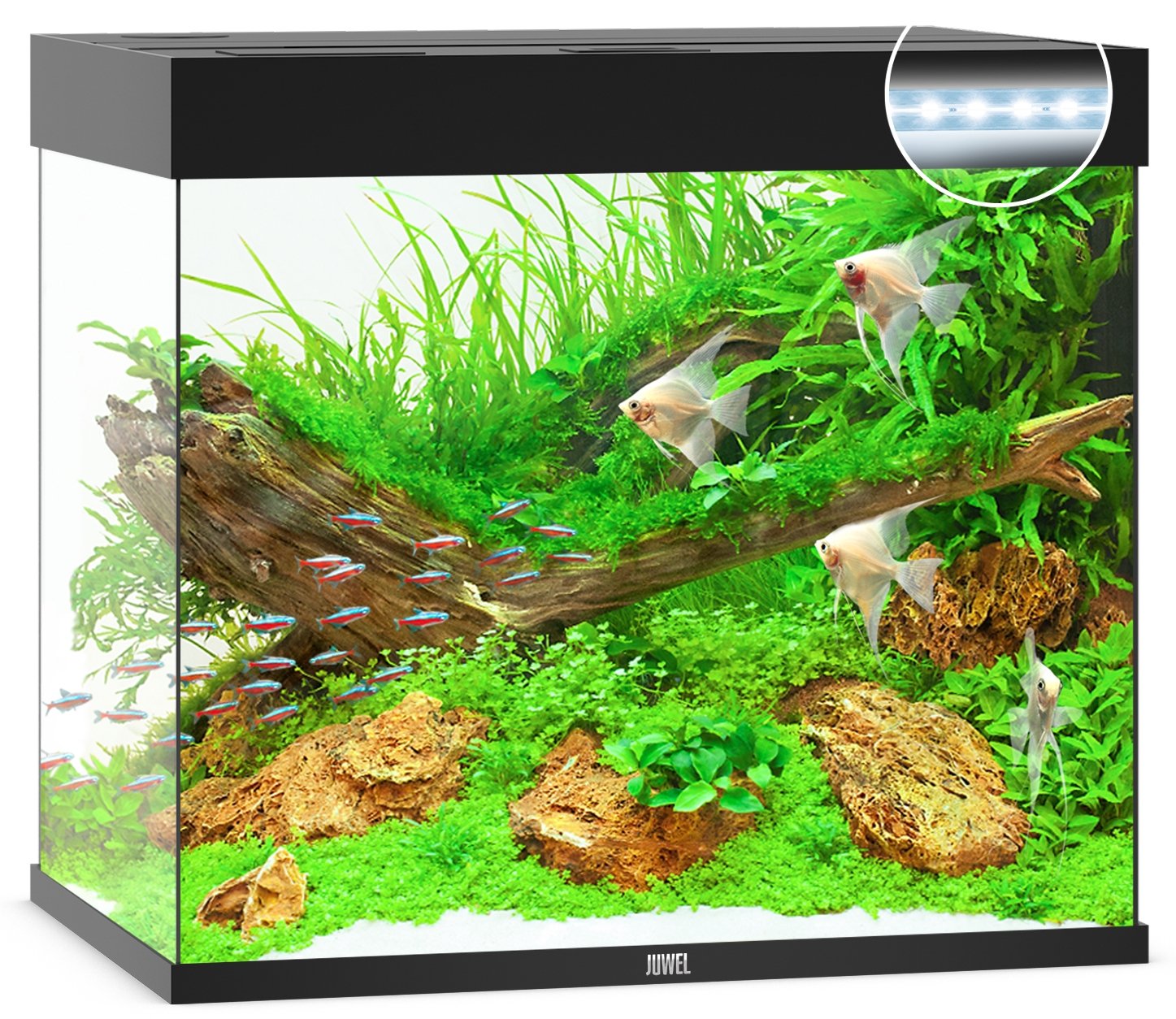 Juwel Aquariums Lido 200 Litre LED black (11932)