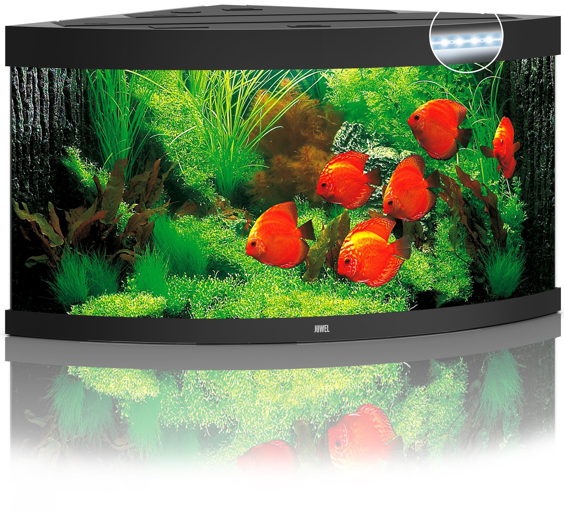 Juwel Aquariums Trigon 350 Litre LED black (15352)