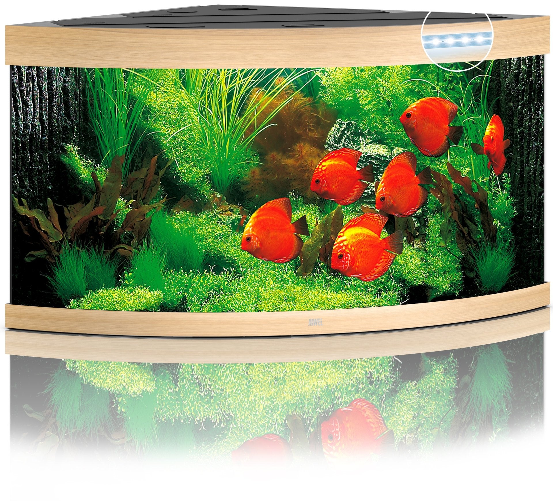 Juwel Aquariums Trigon 350 Litre LED light wood (15852)