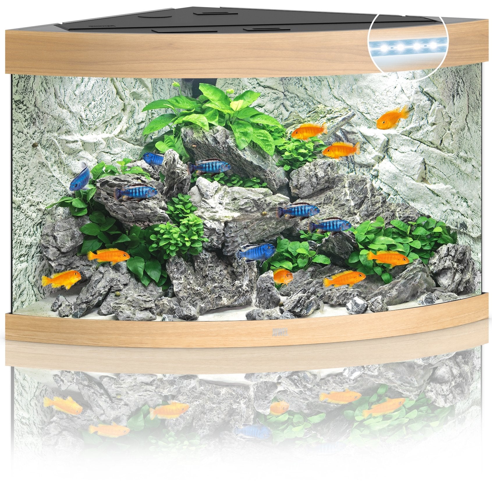 Juwel Aquariums Trigon 190 Litre LED light wood (16852)