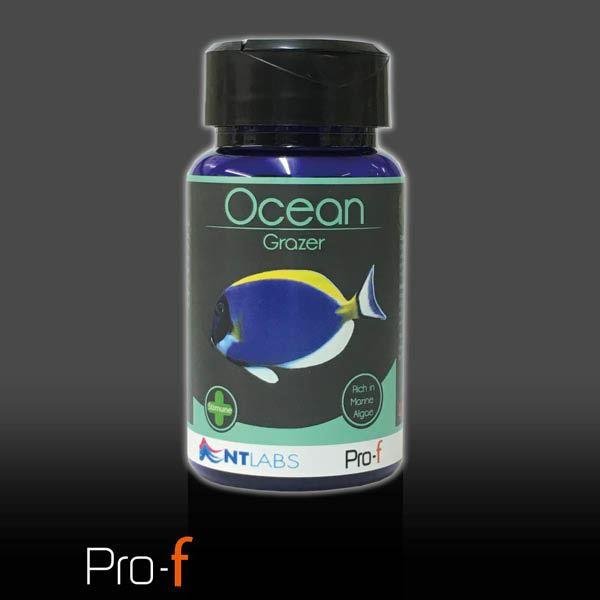 NT Pro-F Ocean Grazer 40g