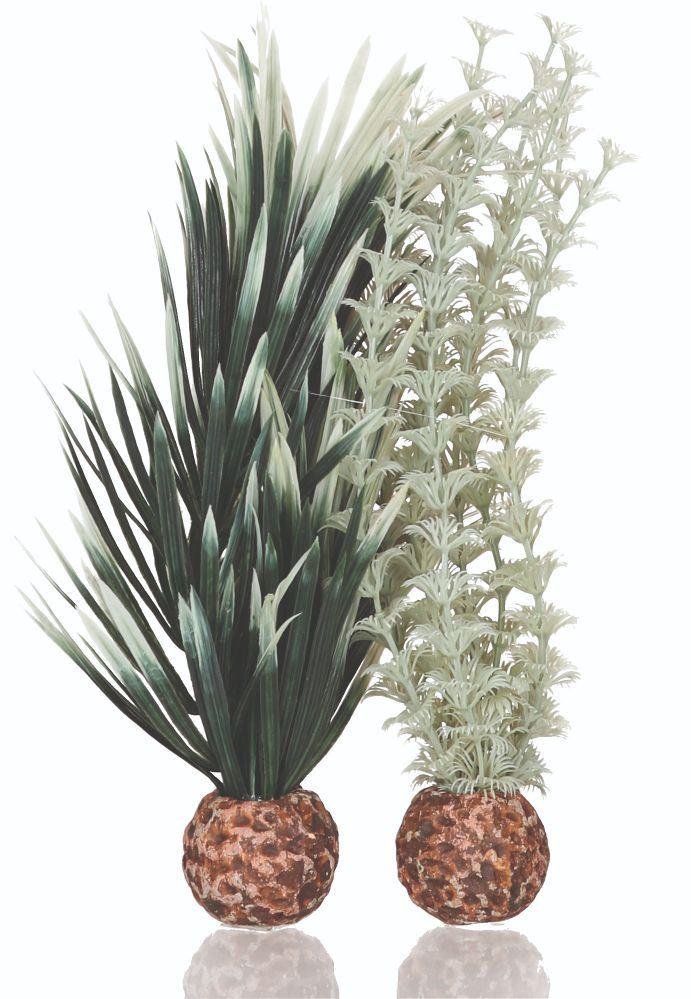 biOrb Plants & Decor ambulia grey/green S (55069)