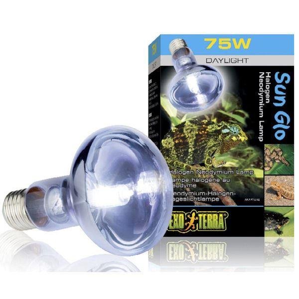 Exo Terra Sunglo Halogen Lamp 75w