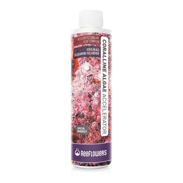 Reeflowers Coralline Algae Accelerator 250ml