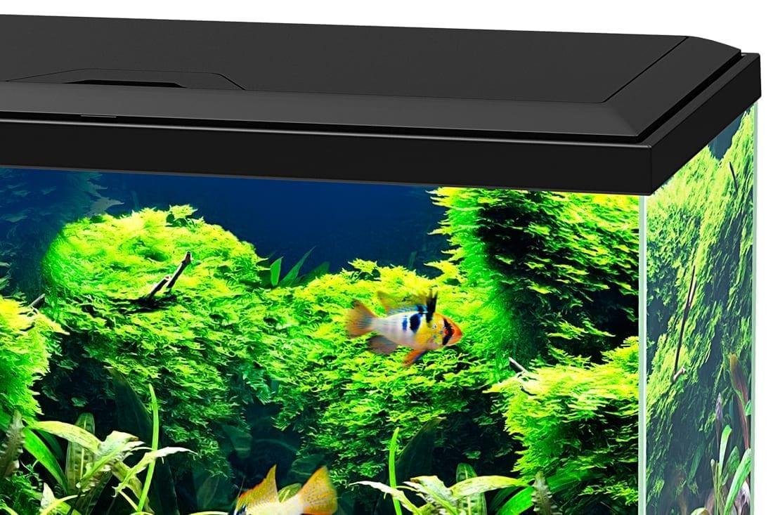 Ciano Aquarium 60 LED - Black (Including CF80 Filter, Heater & LED Lighting) 58 Litre