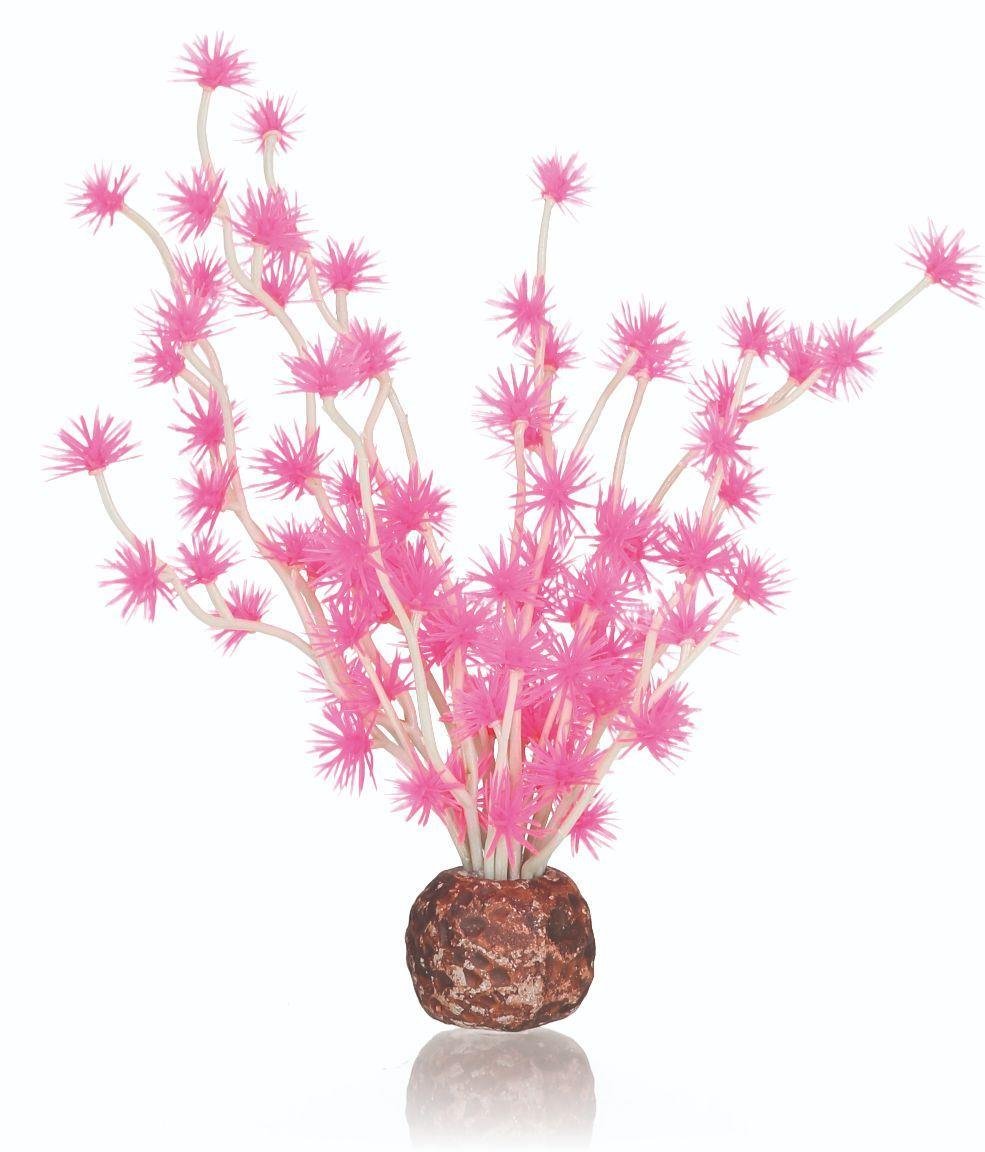 biOrb Plants & Decor Bonsai ball pink (55067)