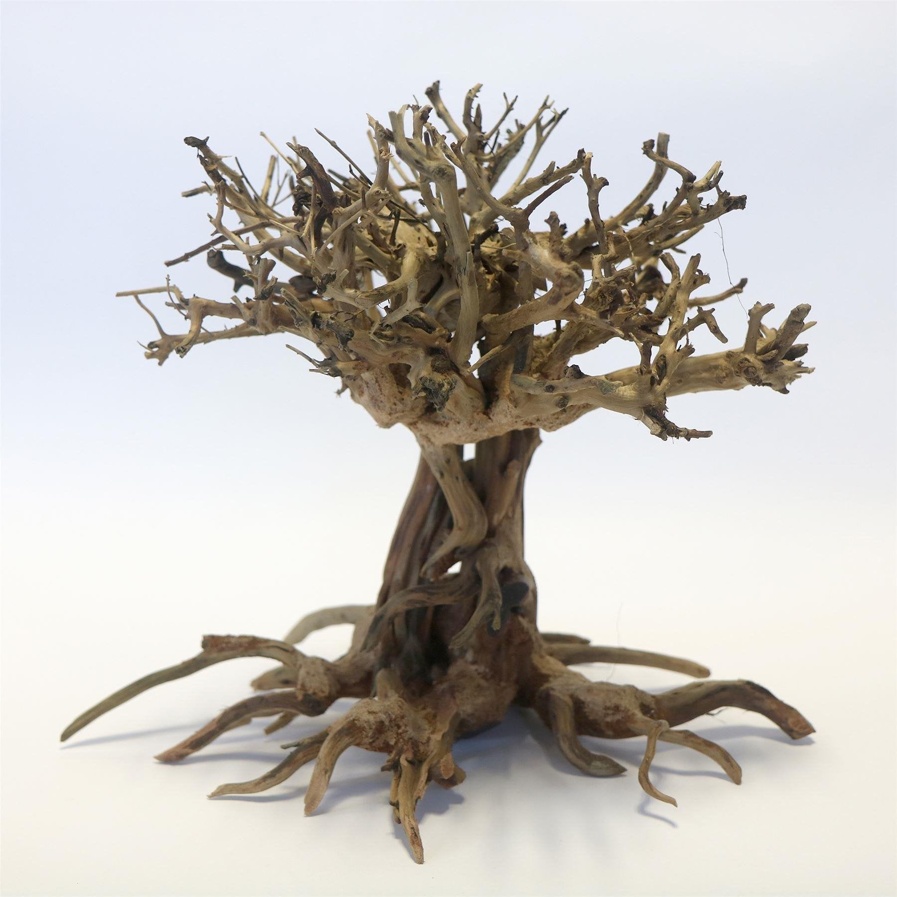 Cloud Bonsai Wood Large Piece 30 x 35 x 30cm