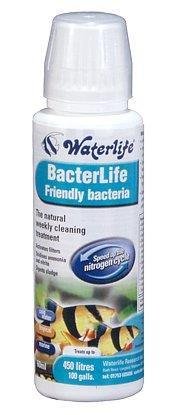 Waterlife - Bacterlife 250ml