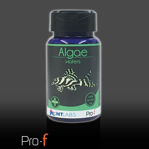 NT Algae Wafers 40g Pot