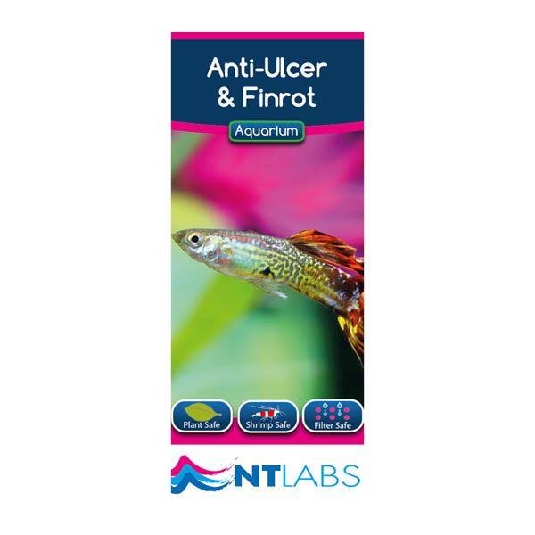 NT Aquarium Anti-Ulcer & Finrot 100ml