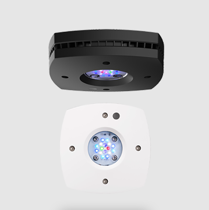 AI Prime 16HD Reef LED Light