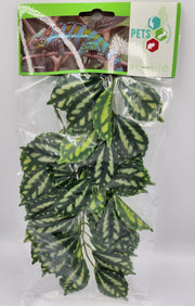 Calathea- Artificial plant
