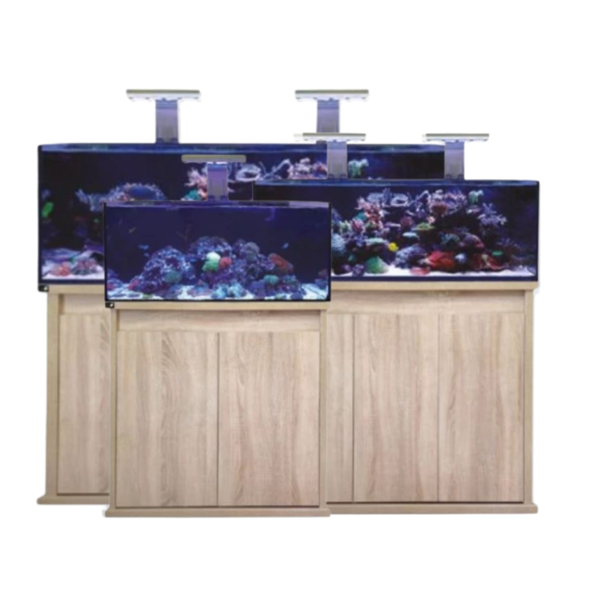 D-D Reef-Pro - Platinum Oak