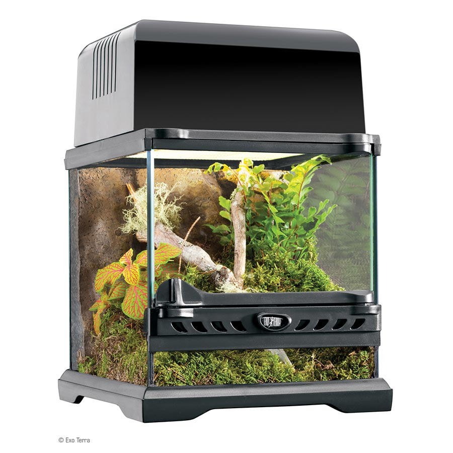 Exo-Terra Terrarium Nano 20x20x20cm