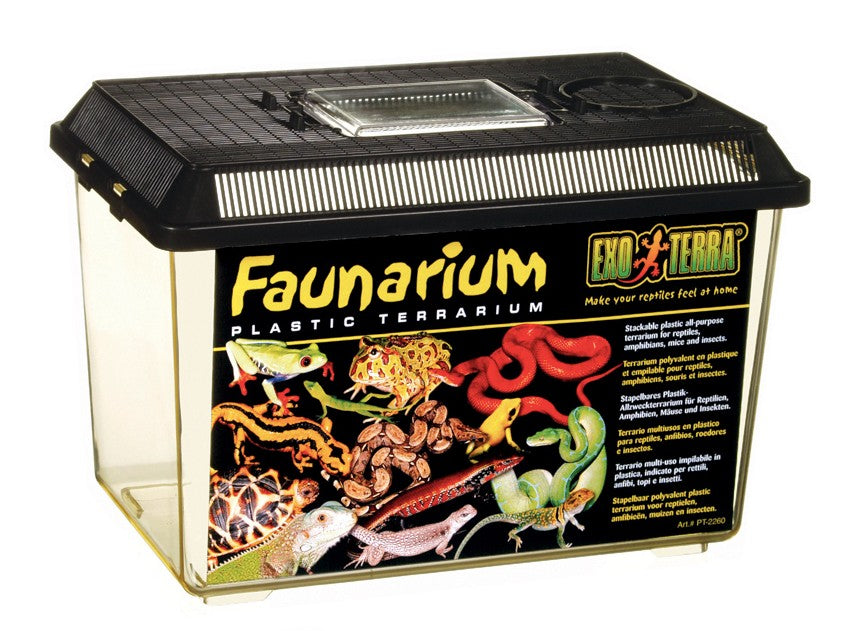 Exo Terra Faunarium - Medium