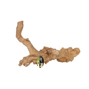 Java Reptile Branch - Extra-Large