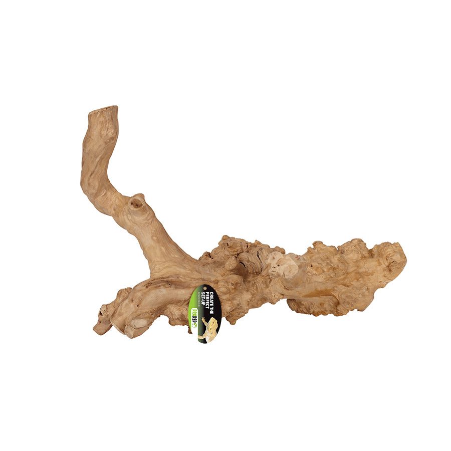 Java Reptile Branch - Extra-Large