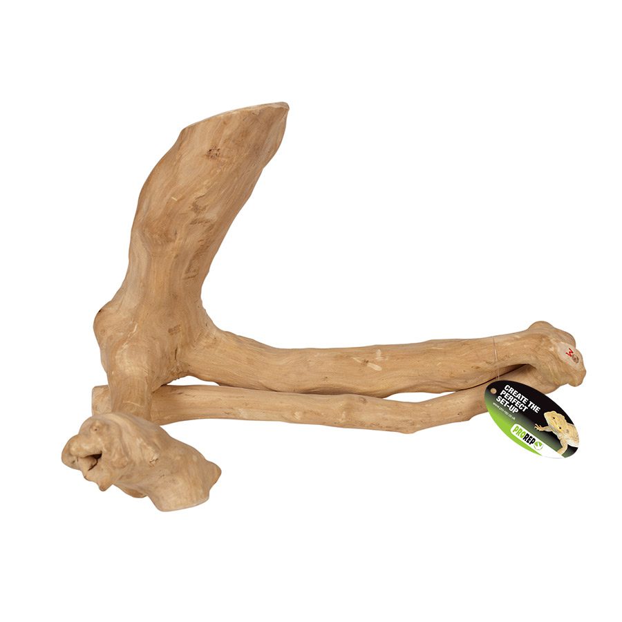 Java Reptile Branch - Medium