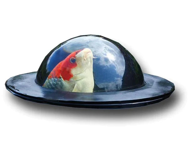 Koi Viewing Sphere