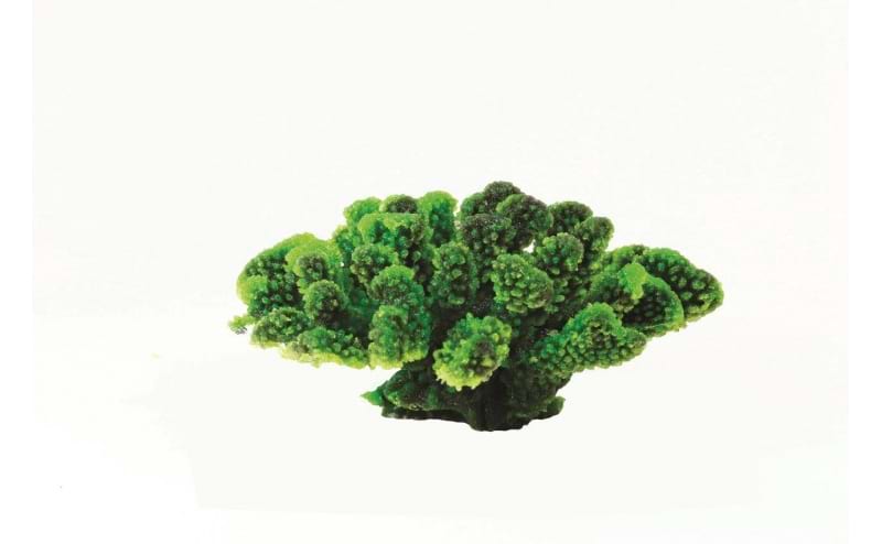 TMC Natureform Coral Cauliflower Green/Purple Pocillopora sp. 17.5 x 16 x 7.5cm