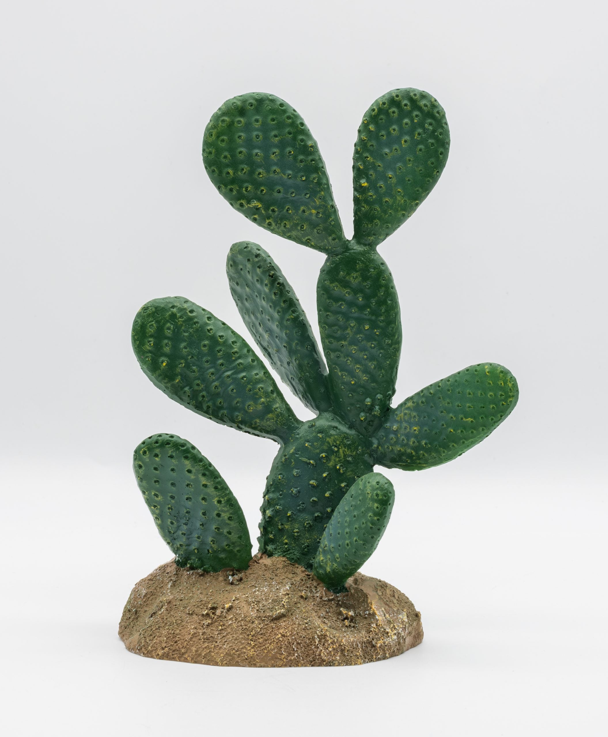Opuntia Cactus