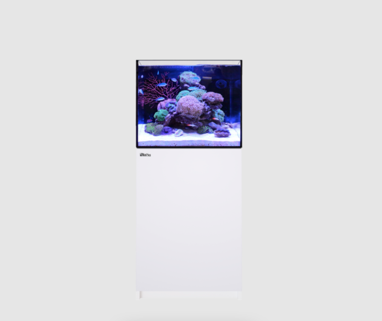 Red Sea Reefer G2+ 170 (White)