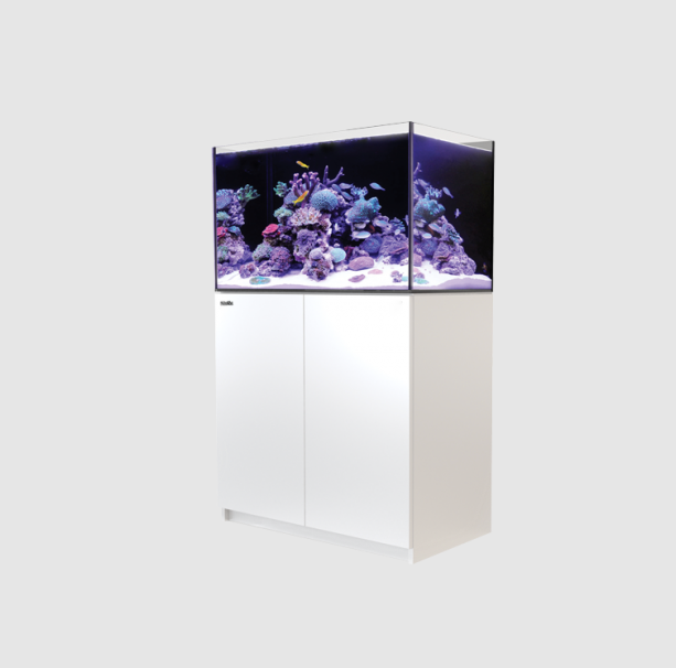 Red Sea Reefer G2+ 250 Deluxe (White)