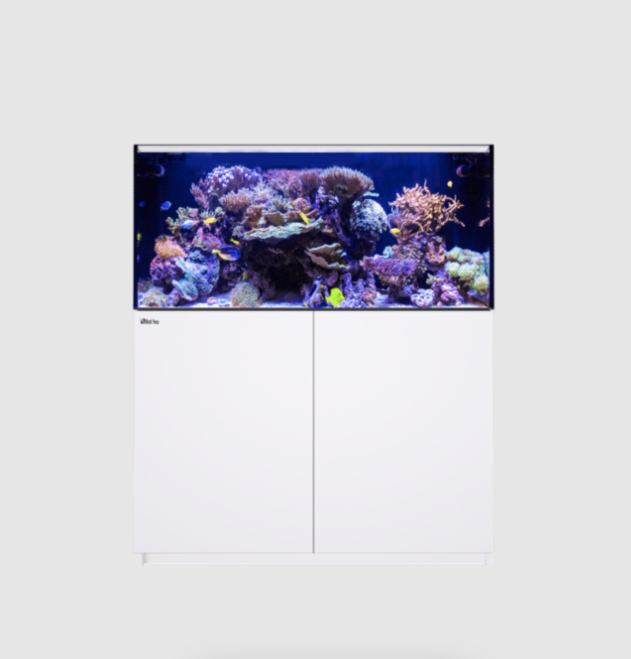 Red Sea Reefer G2+ XL 425 (White)