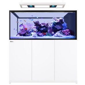 Red Sea Reefer MAX Peninsula S-700 G2+ Aquarium (White)