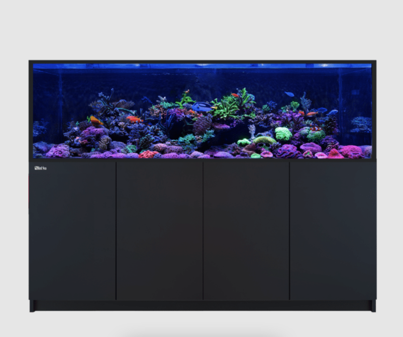 Red Sea Reefer Max S-850 (Black)