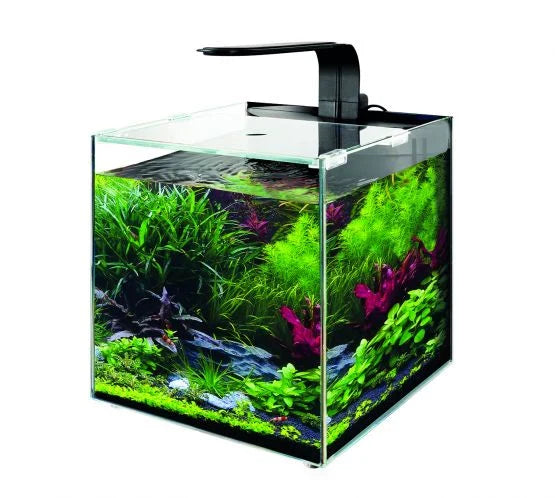 TMC AquaGro Biome Aquarium 8L