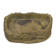 Tortoise Pool Medium