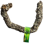 Tronchos Cork Branch 30-40cm