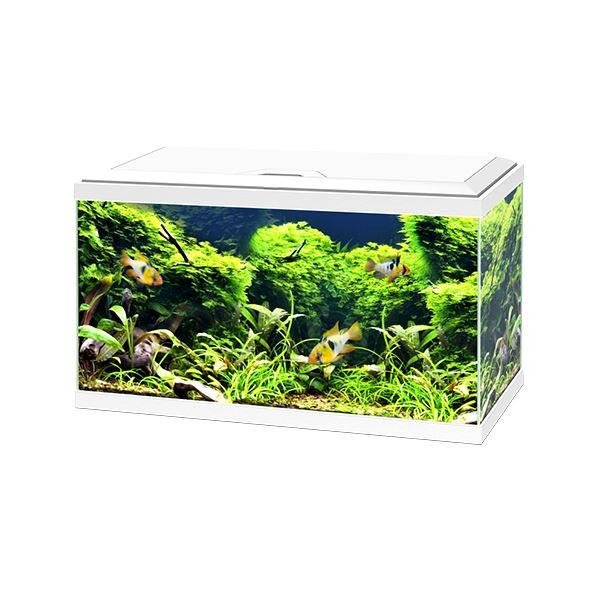 Ciano Aquarium 60 LED - White (Including CF80 Filter, Heater & LED Lighting) 58 Litre