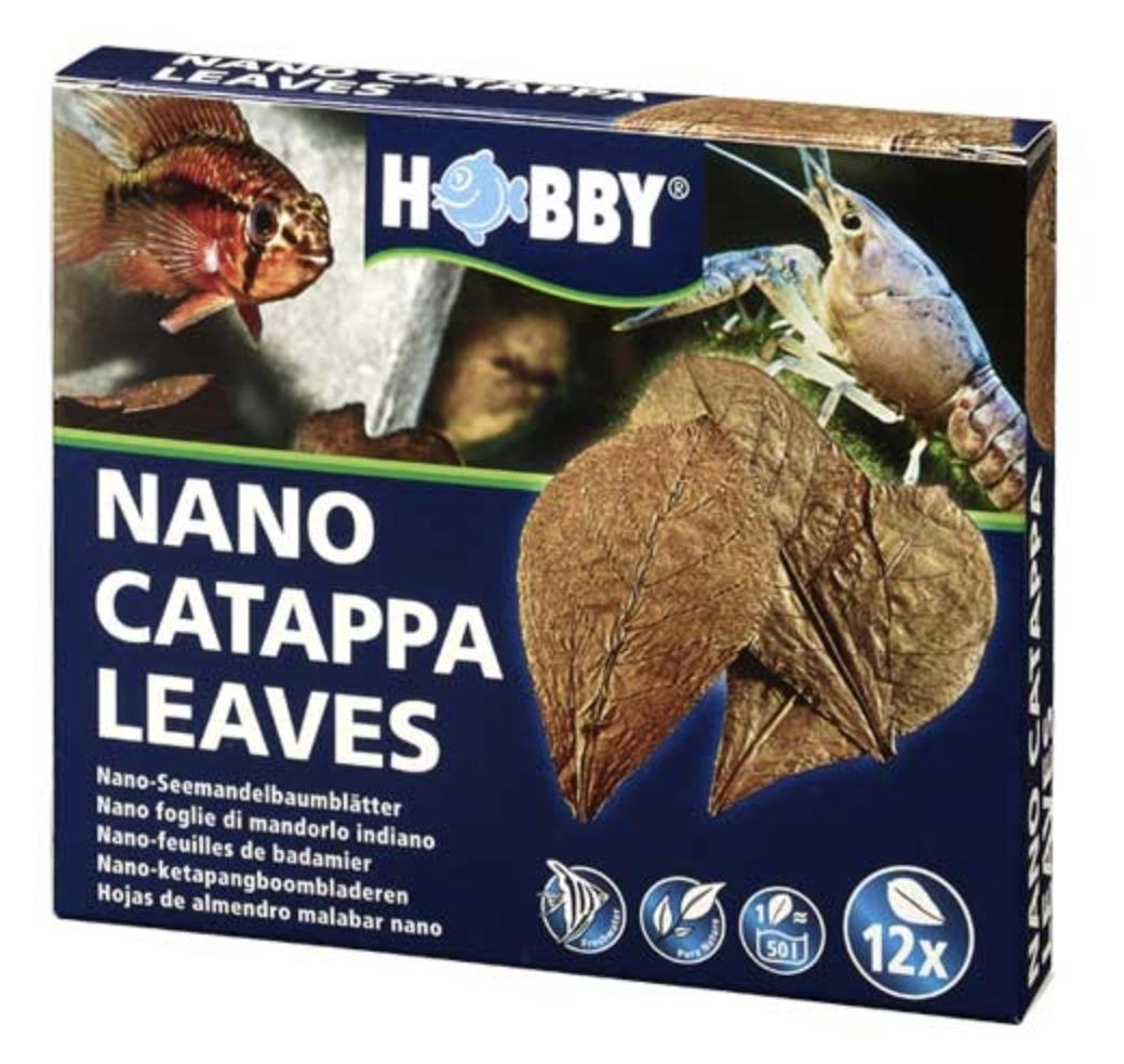 Hobby - Catappa Leaves 12 Pack