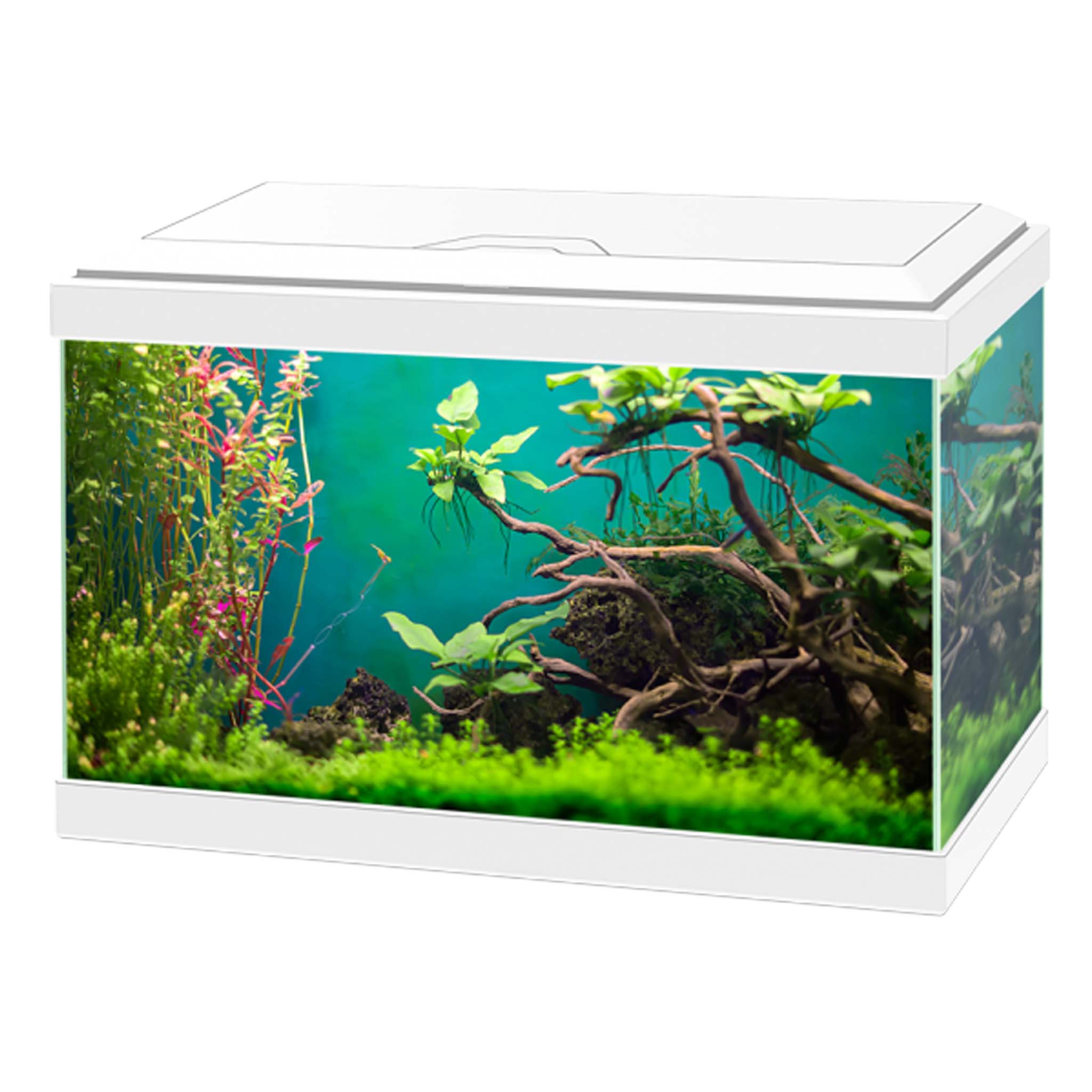 Ciano Aqua 20 Classic Aquarium - White